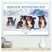 Cover-Bild zum Titel 'Berner Sennenhund - Ein Traum auf vier Pfoten (hochwertiger Premium Wandkalender 2026 DIN A2 quer), Kunstdruck in Hochglanz' von 'Sigrid Starick'