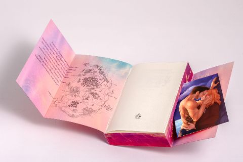 InsideView 6