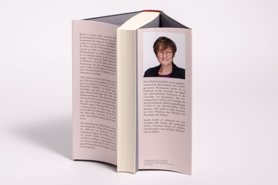 InsideView 6
