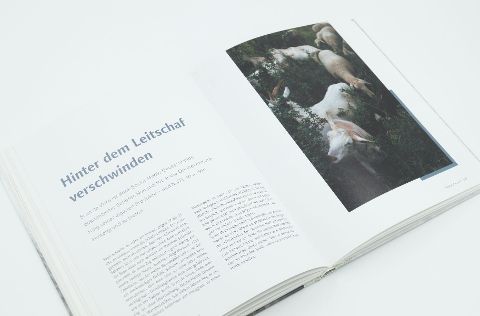 InsideView 7