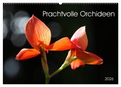 Cover-Bild zum Titel 'Prachtvolle Orchideen (Wandkalender 2026 DIN A2 quer), CALVENDO Monatskalender' von 'SchnelleWelten SchnelleWelten'