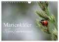 Marienkäfer - kleine Glücksmomente (Wandkalender 2025 DIN A4 quer), CALVENDO Monatskalender - Karin Dederichs