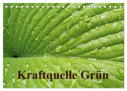 Kraftquelle Grün (Tischkalender 2025 DIN A5 quer), CALVENDO Monatskalender - Ilona Andersen