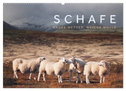 Cover-Bild zum Titel 'Schafe - Raues Wetter, weiche Wolle (Wandkalender 2027 DIN A2 quer), CALVENDO Monatskalender' von 'Lain Jackson'