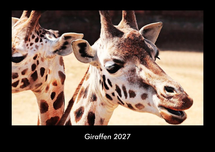 Giraffen 2027 Fotokalender DIN A3 - Tobias Becker