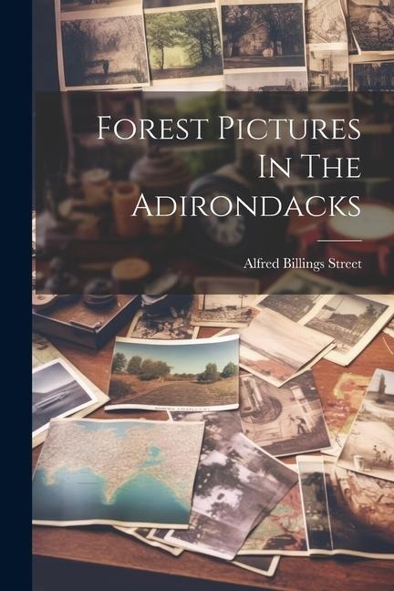 Forest Pictures In The Adirondacks - Alfred Billings Street