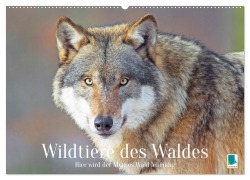Wildtiere des Waldes: Hier wird der Mythos Wald lebendig (Wandkalender 2026 DIN A2 quer), CALVENDO Monatskalender - Calvendo Calvendo