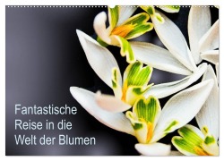 Cover-Bild zum Titel 'Fantastische Reise in die Welt der Blumen (Wandkalender 2026 DIN A2 quer), CALVENDO Monatskalender' von 'Anke Klöppel'