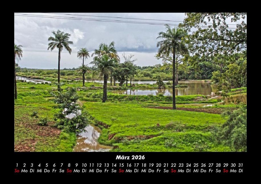 InsideView 7