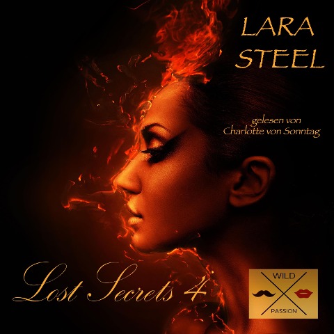 Lost Secrets 4 - Lara Steel