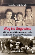 Cover-Bild zum Titel 'Weg ins Ungewisse' von 'Ingeborg Schalek'