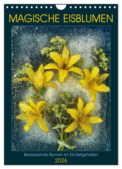 Magische Eisblumen (Wandkalender 2026 DIN A4 hoch), CALVENDO Monatskalender - Harald Richter