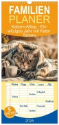 Familienplaner 2026 - Katzen-Alltag - Ein witziges Jahr mit Kater Tommy mit 5 Spalten (Wandkalender, 21 x 45 cm) CALVENDO - Anja Frost