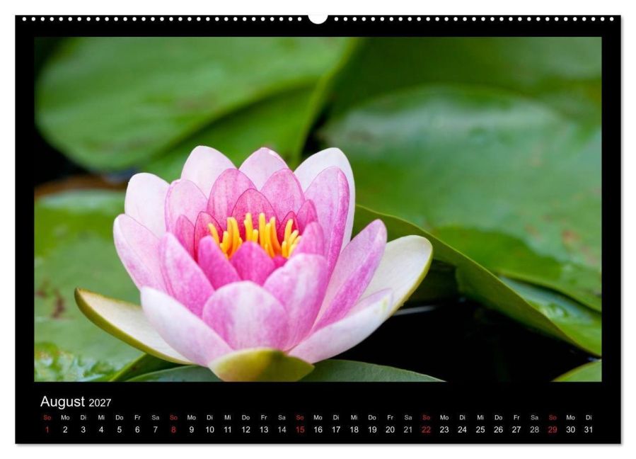InsideView 12
