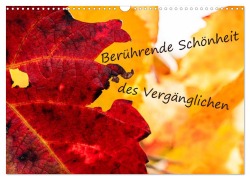 Berührende Schönheit des Vergänglichen (Wandkalender 2026 DIN A3 quer), CALVENDO Monatskalender - Monika Scheurer