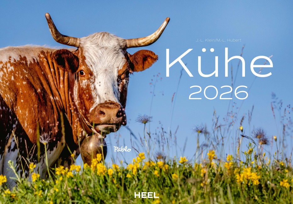 Kühe Kalender 2026 Wandkalender - J. -L. Klein, M. -L. Hubert