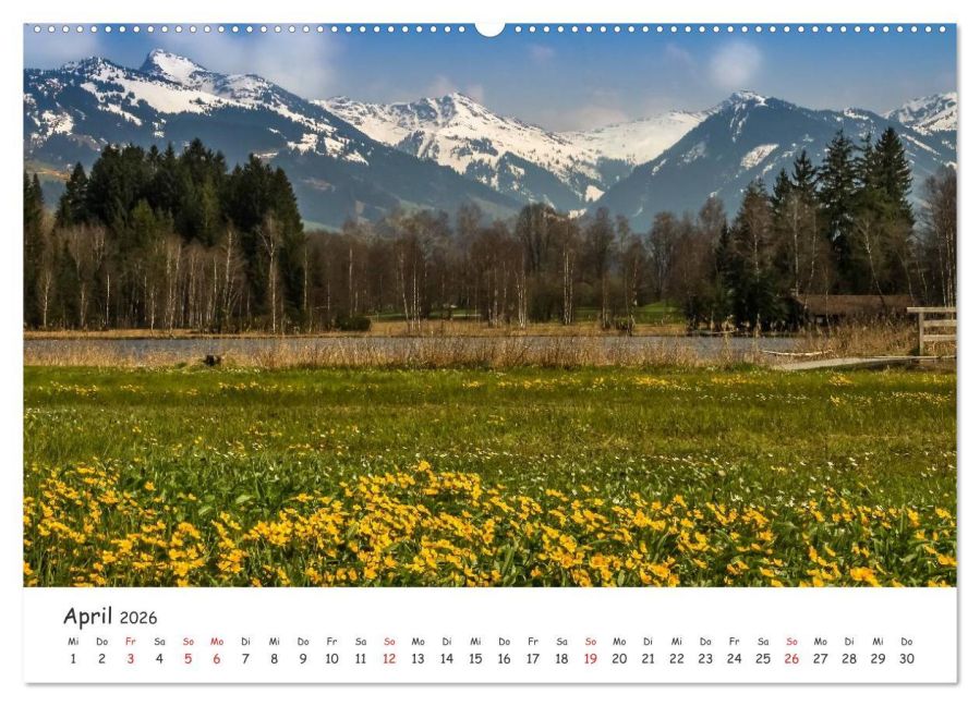 InsideView 8