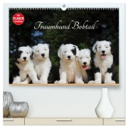 Cover-Bild zum Titel 'Traumhund Bobtail (hochwertiger Premium Wandkalender 2026 DIN A2 quer), Kunstdruck in Hochglanz' von 'Sigrid Starick'