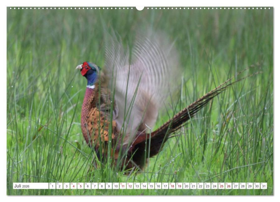 InsideView 11
