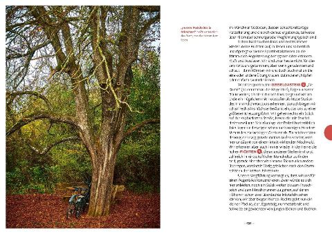 InsideView 10