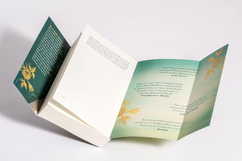 InsideView 5