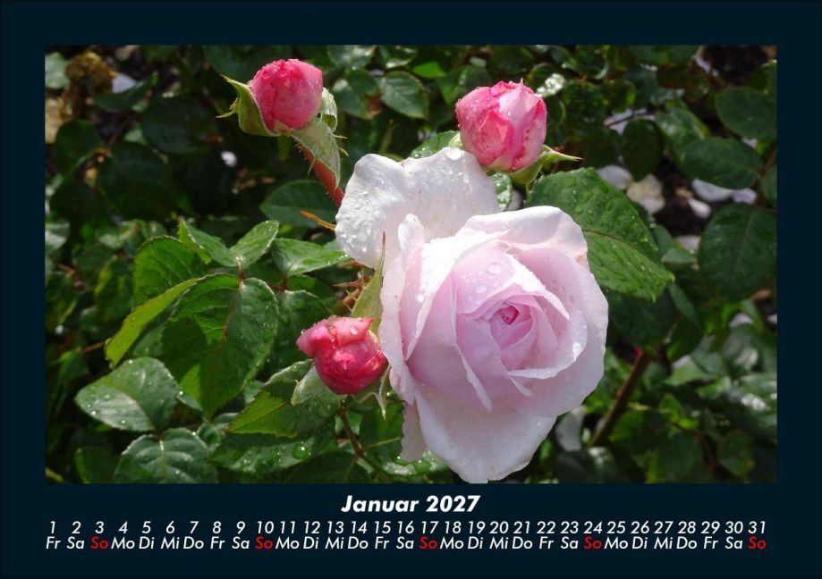 InsideView 5