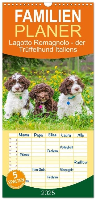 Familienplaner 2025 - Lagotto Romagnolo - der Trüffelhund Italiens mit 5 Spalten (Wandkalender, 21 x 45 cm) CALVENDO - Sigrid Starick