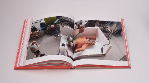 InsideView 10