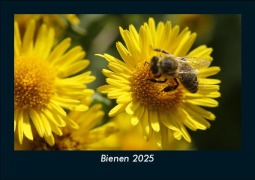 Cover-Bild zum Titel 'Bienen 2025 Fotokalender DIN A5' von 'Tobias Becker'