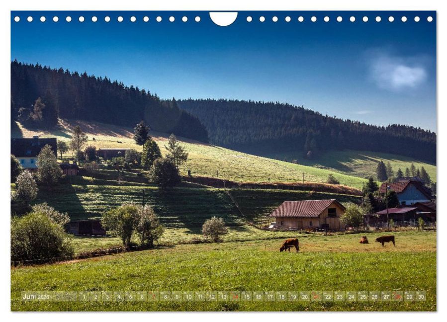 InsideView 11