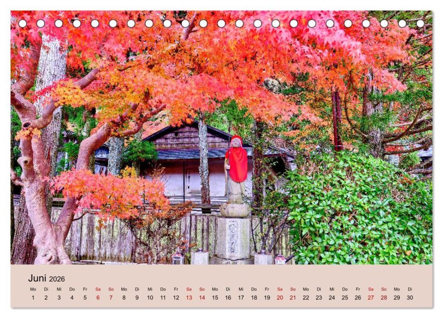 InsideView 11