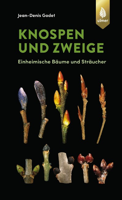 Knospen und Zweige - Jean-Denis Godet