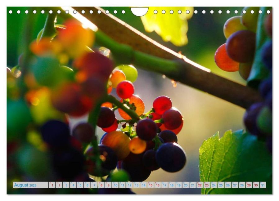 InsideView 13