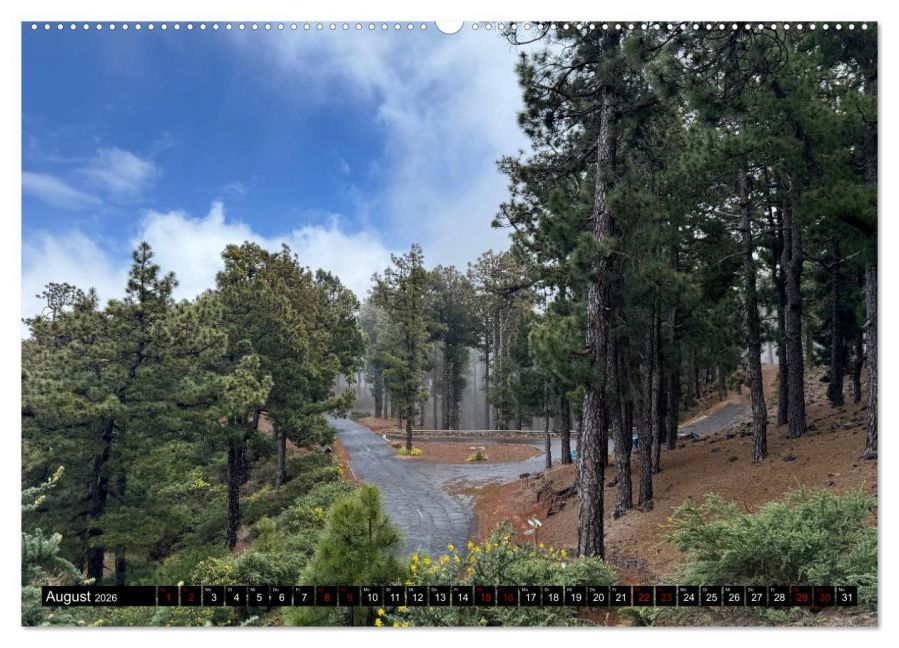 InsideView 12