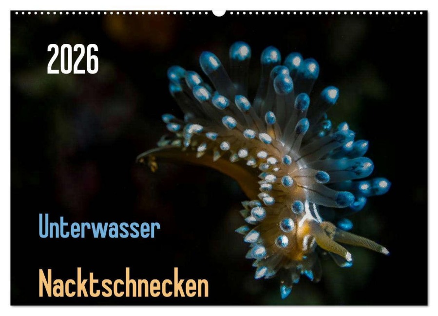 Unterwasser - Nacktschnecken 2026 (Wandkalender 2026 DIN A2 quer), CALVENDO Monatskalender - Claudia Weber-Gebert
