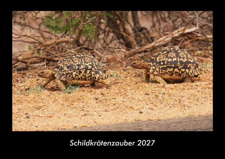 Schildkrötenzauber 2027 Fotokalender DIN A3 - Tobias Becker
