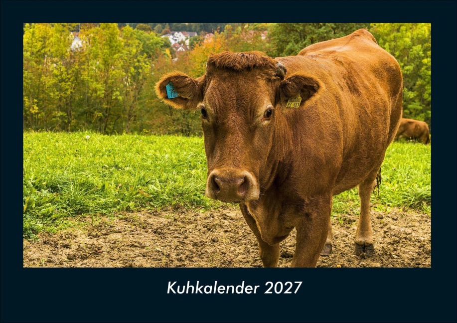 Kuhkalender 2027 Fotokalender DIN A4 - Tobias Schmitt, Kevin Heber