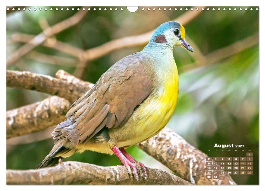InsideView 13