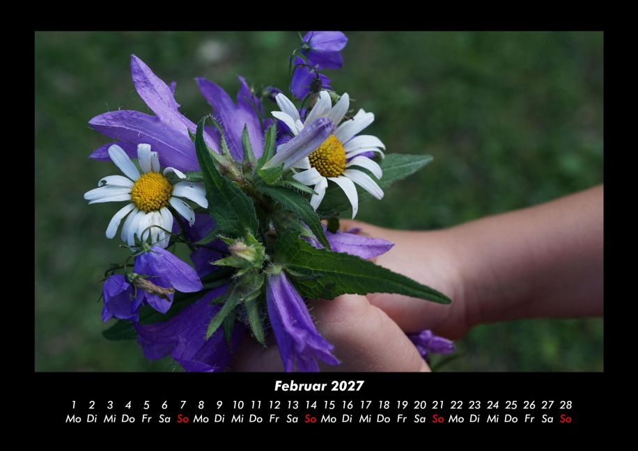 InsideView 6