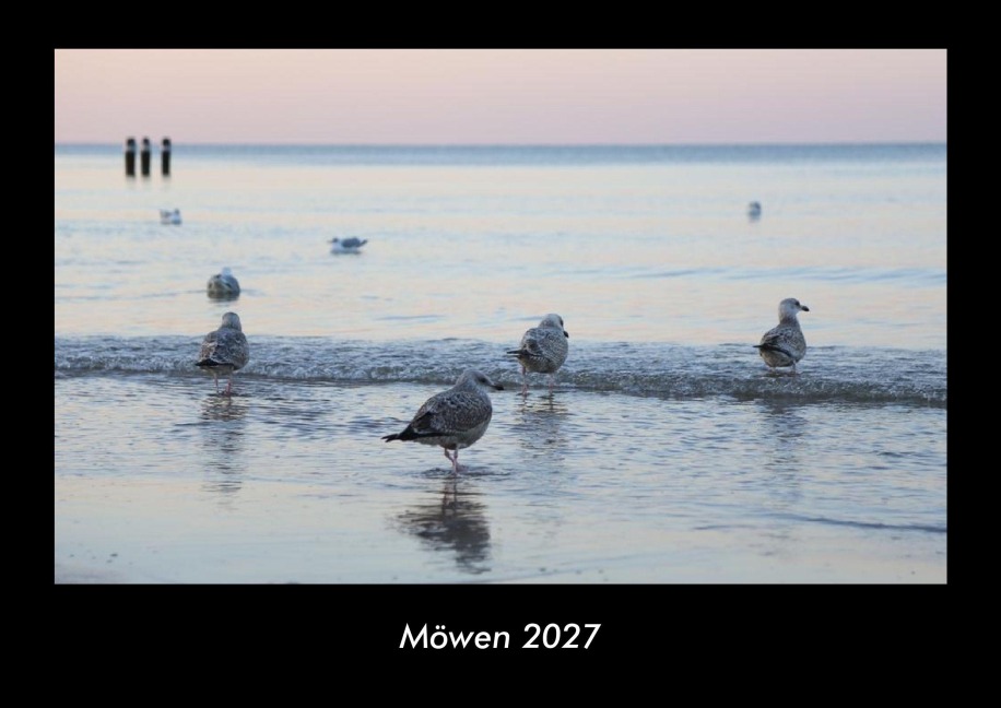 Möwen 2027 Fotokalender DIN A3 - Tobias Becker