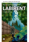 Cover-Bild zum Titel 'Dedektif Bay Matematik Labirent' von 'Coskun Bulut'