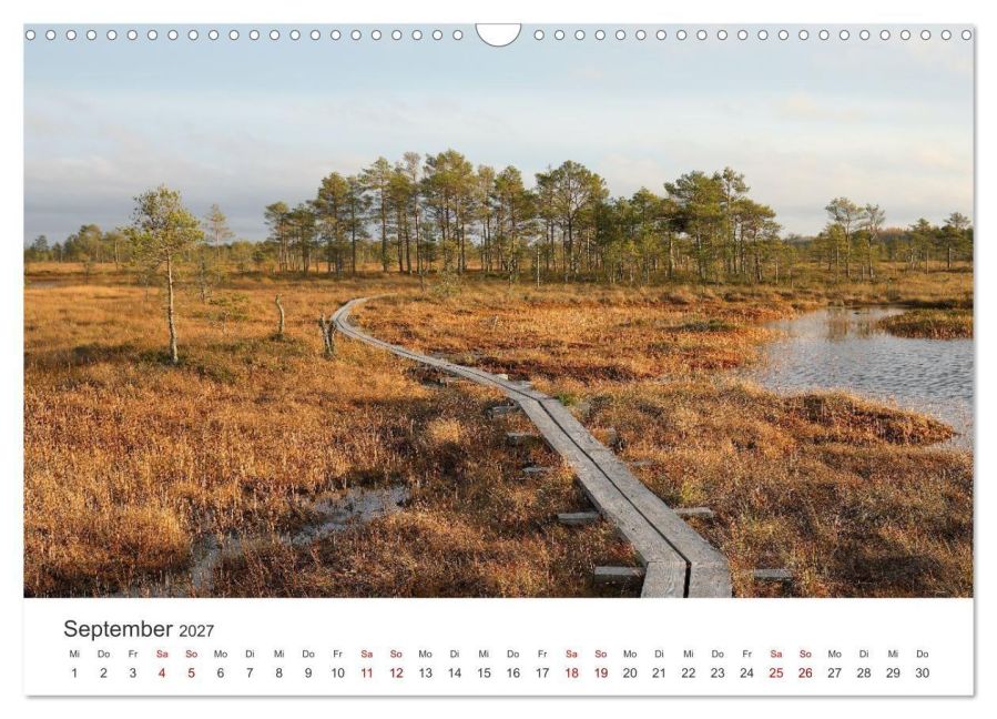 InsideView 14
