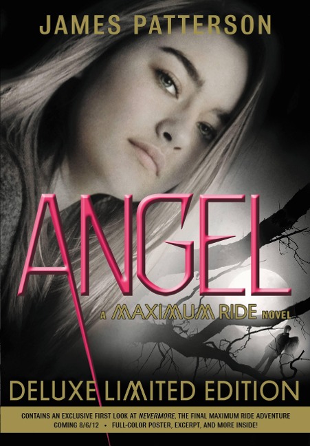 Angel - James Patterson