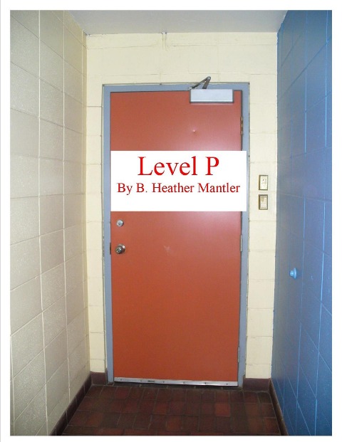 Level P - B. Heather Mantler