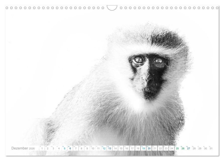 InsideView 4