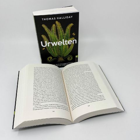 InsideView 5