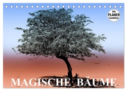 Magische Bäume (Tischkalender 2026 DIN A5 quer), CALVENDO Monatskalender - Elisabeth Stanzer