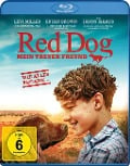 Red Dog - Mein treuer Freund - Daniel Taplitz, Cezary Skubiszewski