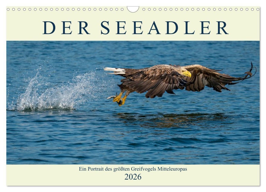 DER SEEADLER Ein Portrait des größten Greifvogels Mitteleuropas (Wandkalender 2026 DIN A3 quer), CALVENDO Monatskalender - Arne Wünsche