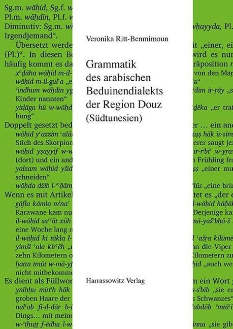Grammatik des arabischen Beduinendialekts der Region Douz (Südtunesien) - Veronika Ritt-Benmimoun